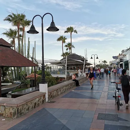 Montemar 아파트